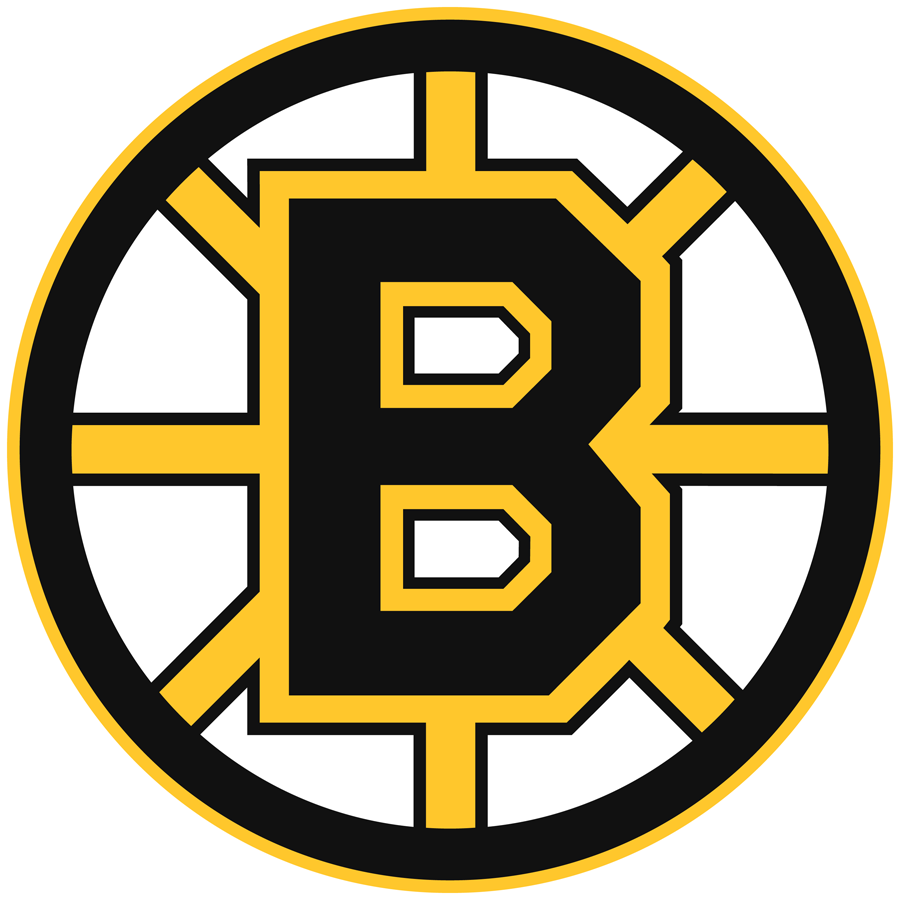 Boston Bruins 1995-2007 Primary Logo iron on heat transfer...